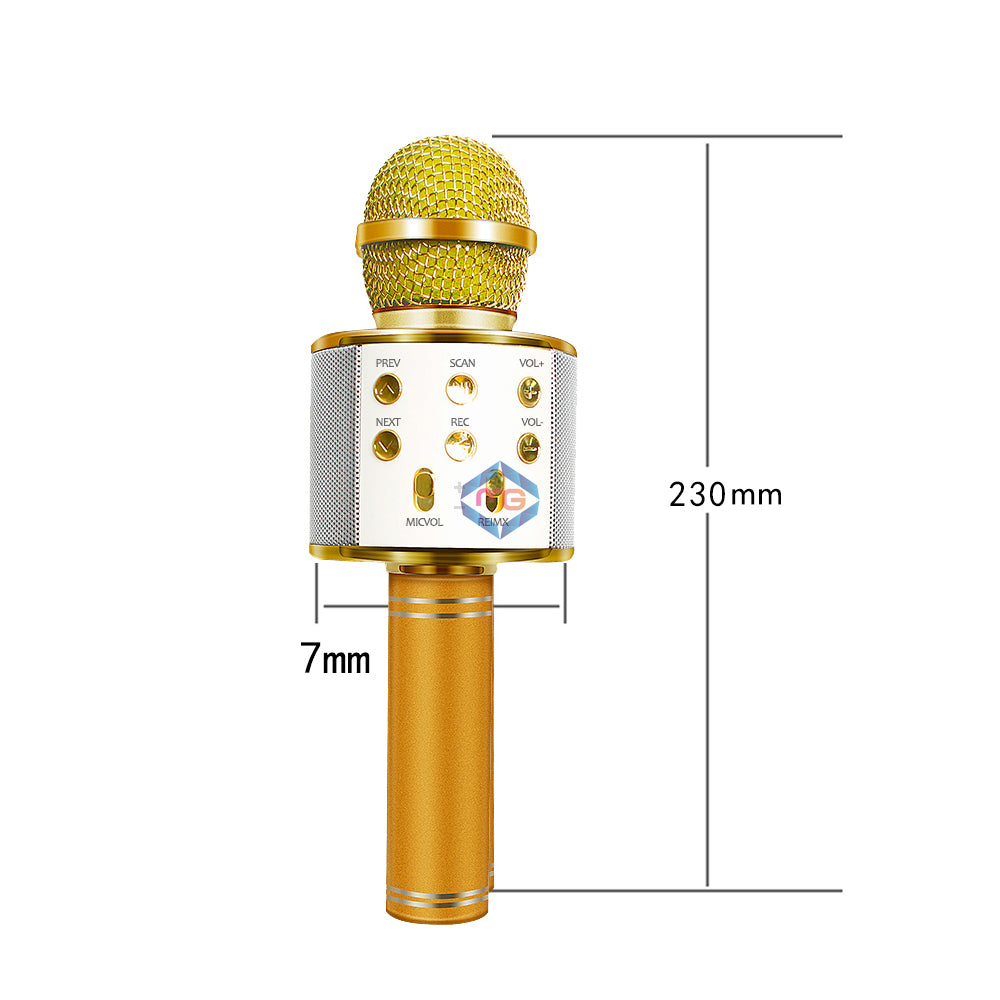 Handheld Karaoke Microphone - WS858 - Madina Gift
