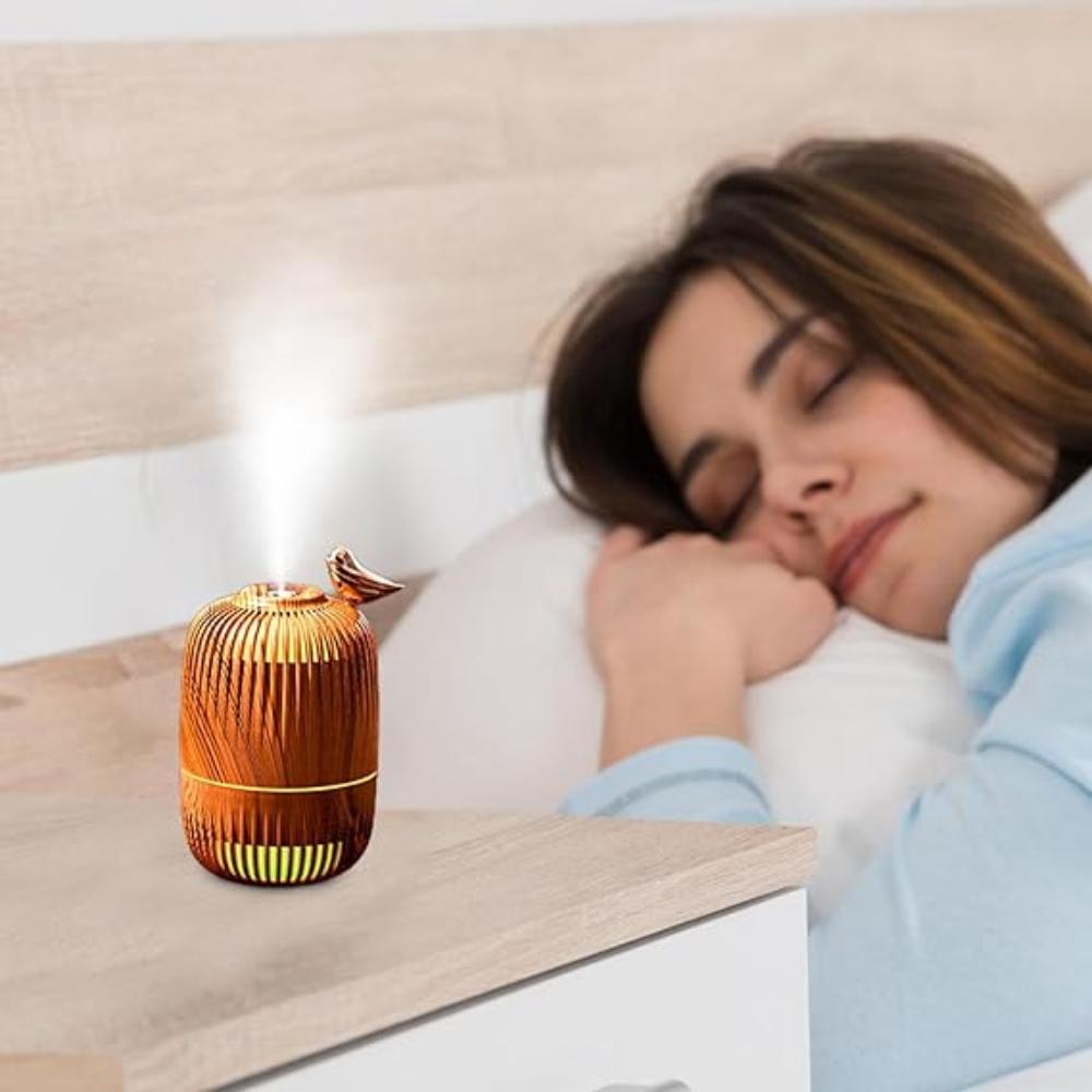 Birdcage Aroma Diffuser Air Humidifier 300 ML - Madina Gift