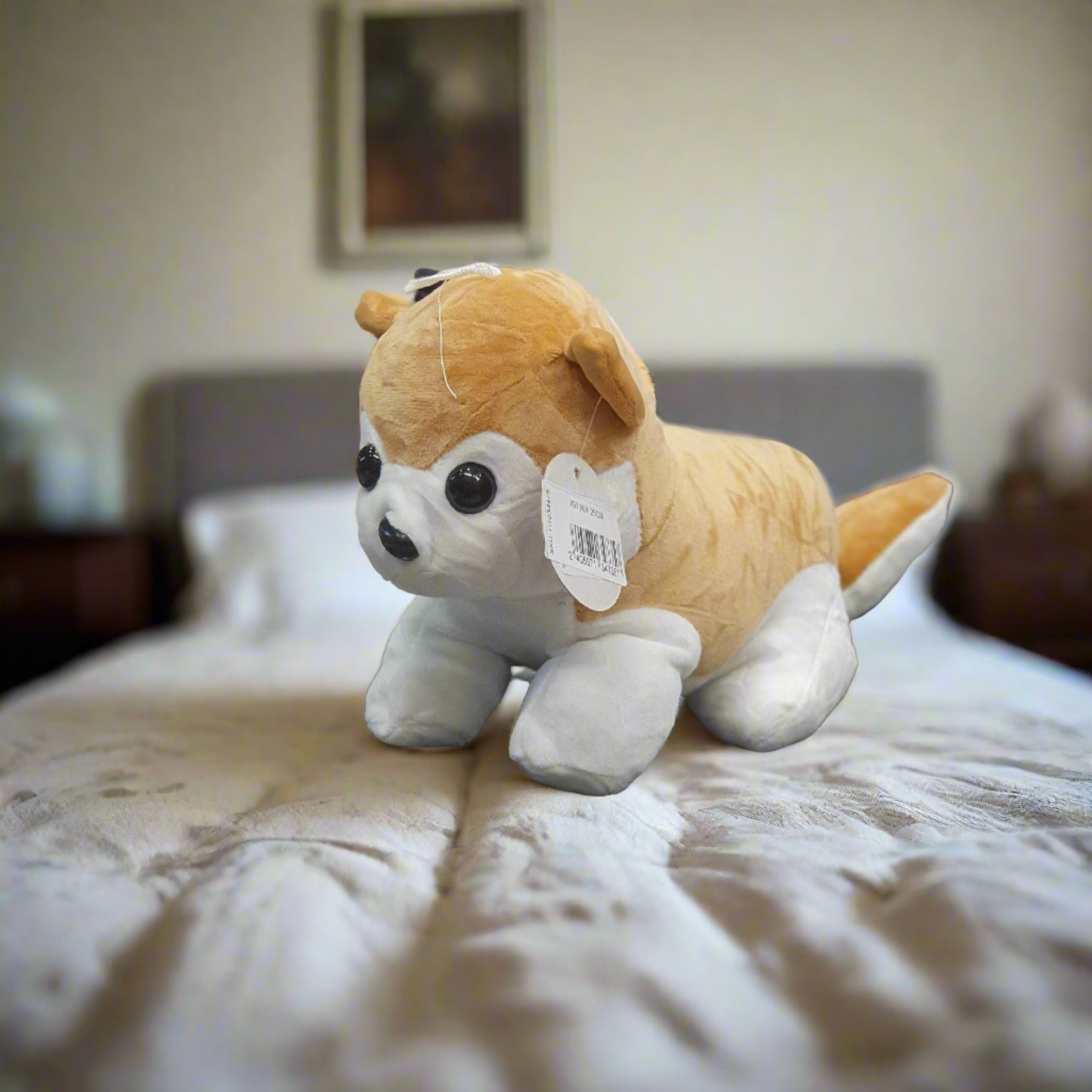 Cute Dog 25 CM - Madina Gift