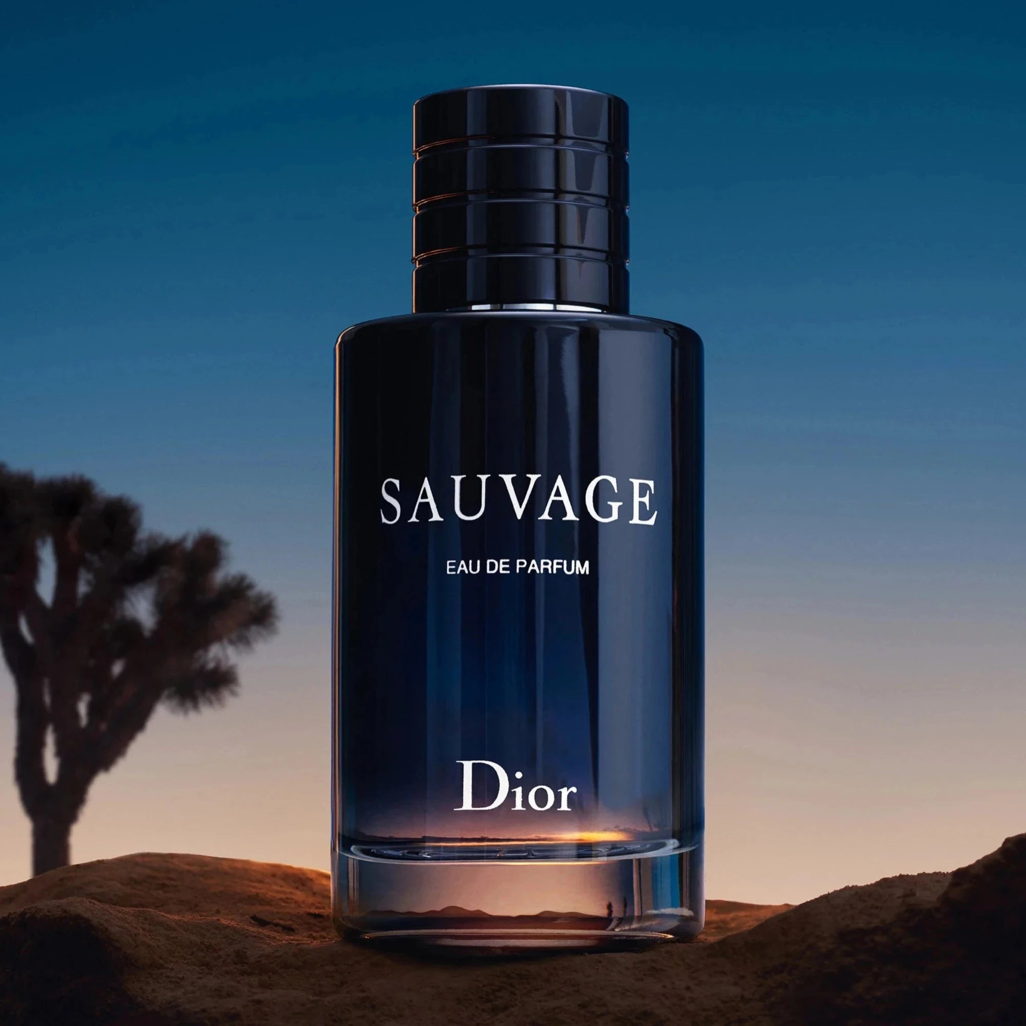 Sauvage Eau de Parfum - Original by Dior - Madina Gift