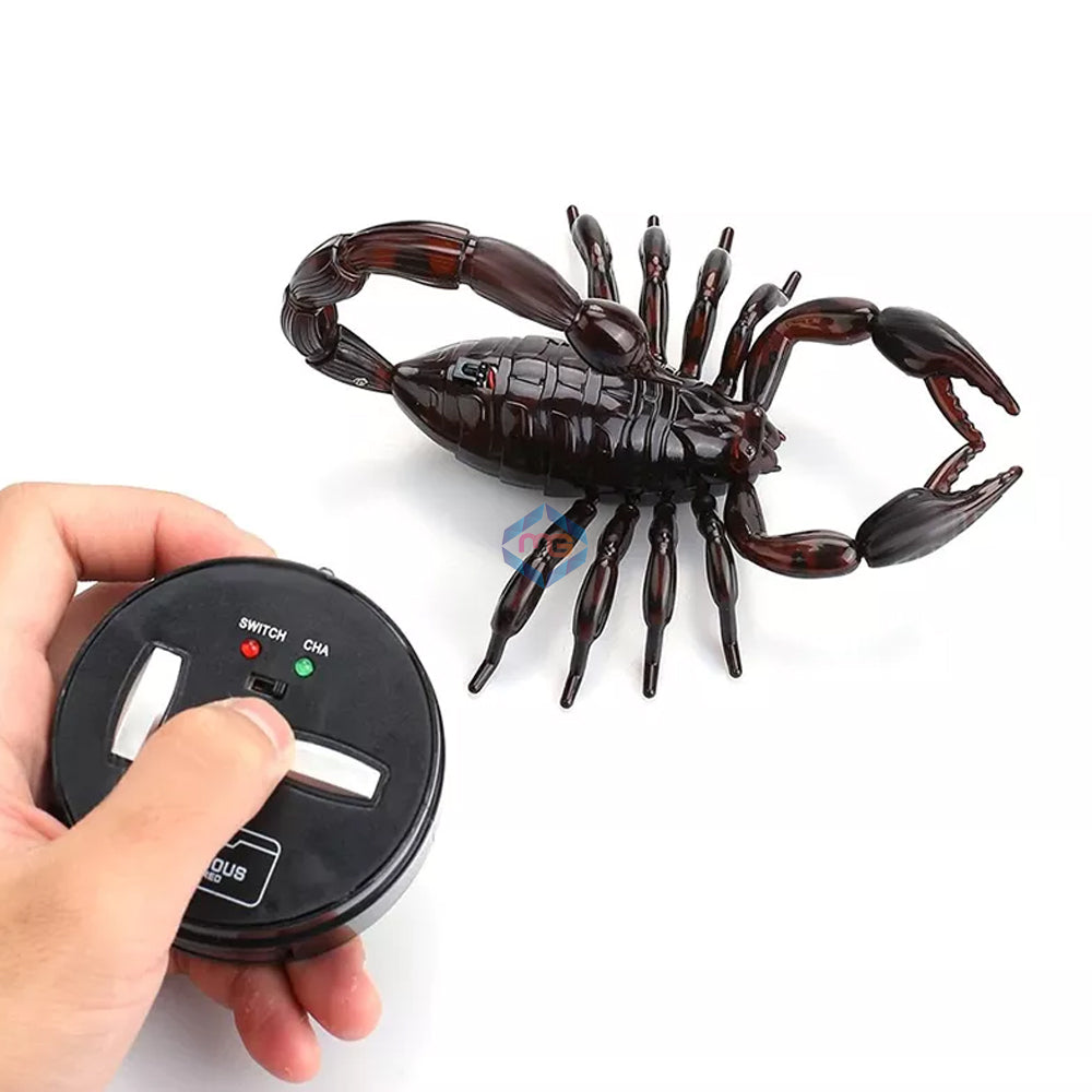 Infrared Radio Control Scorpion Simulation Toy - 9992 - Madina Gift