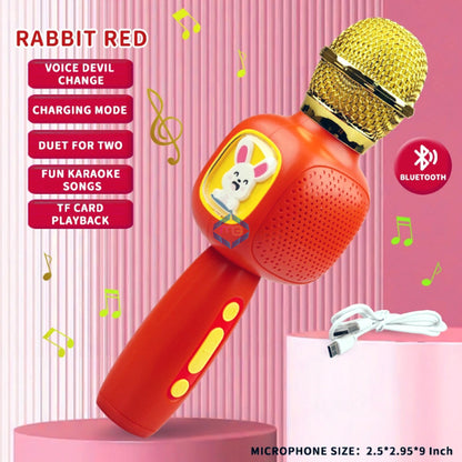 Karaoke Singer Microphone with Speaker - FDQ-01 - Madina Gift