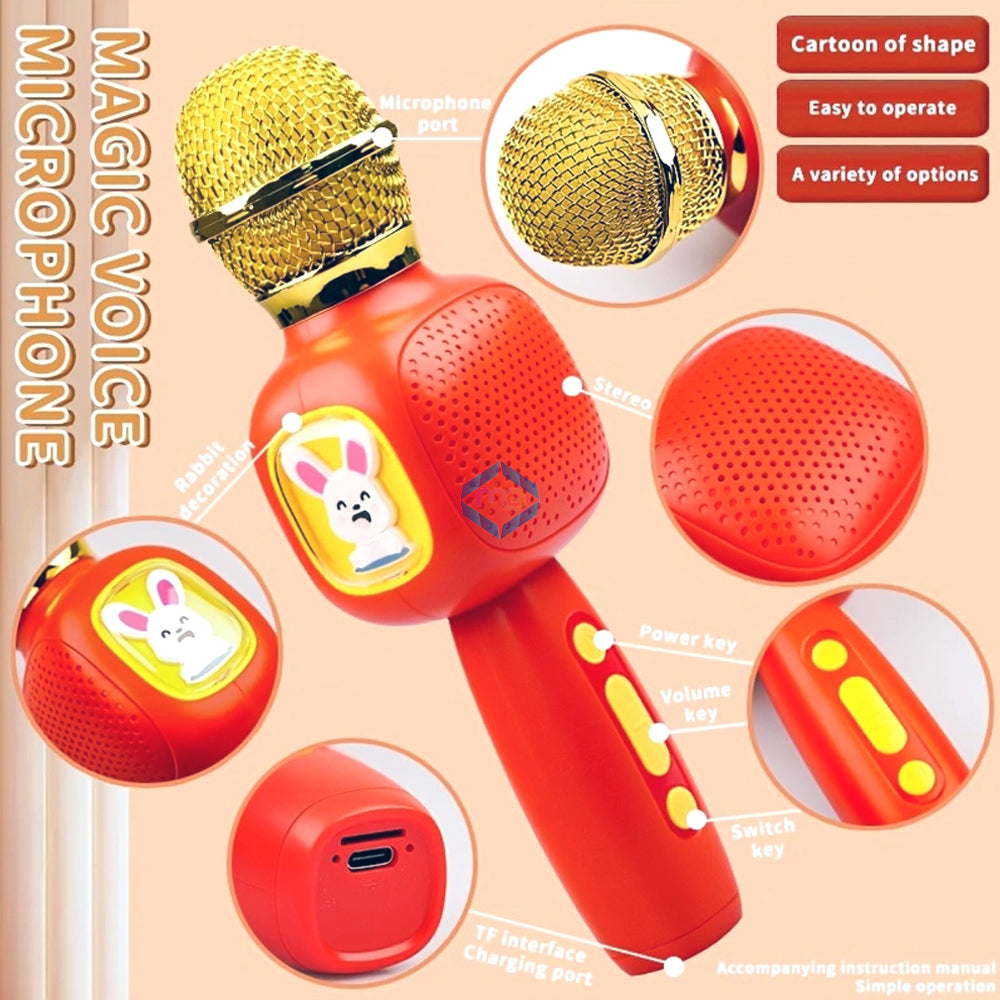 Karaoke Singer Microphone with Speaker - FDQ-01 - Madina Gift