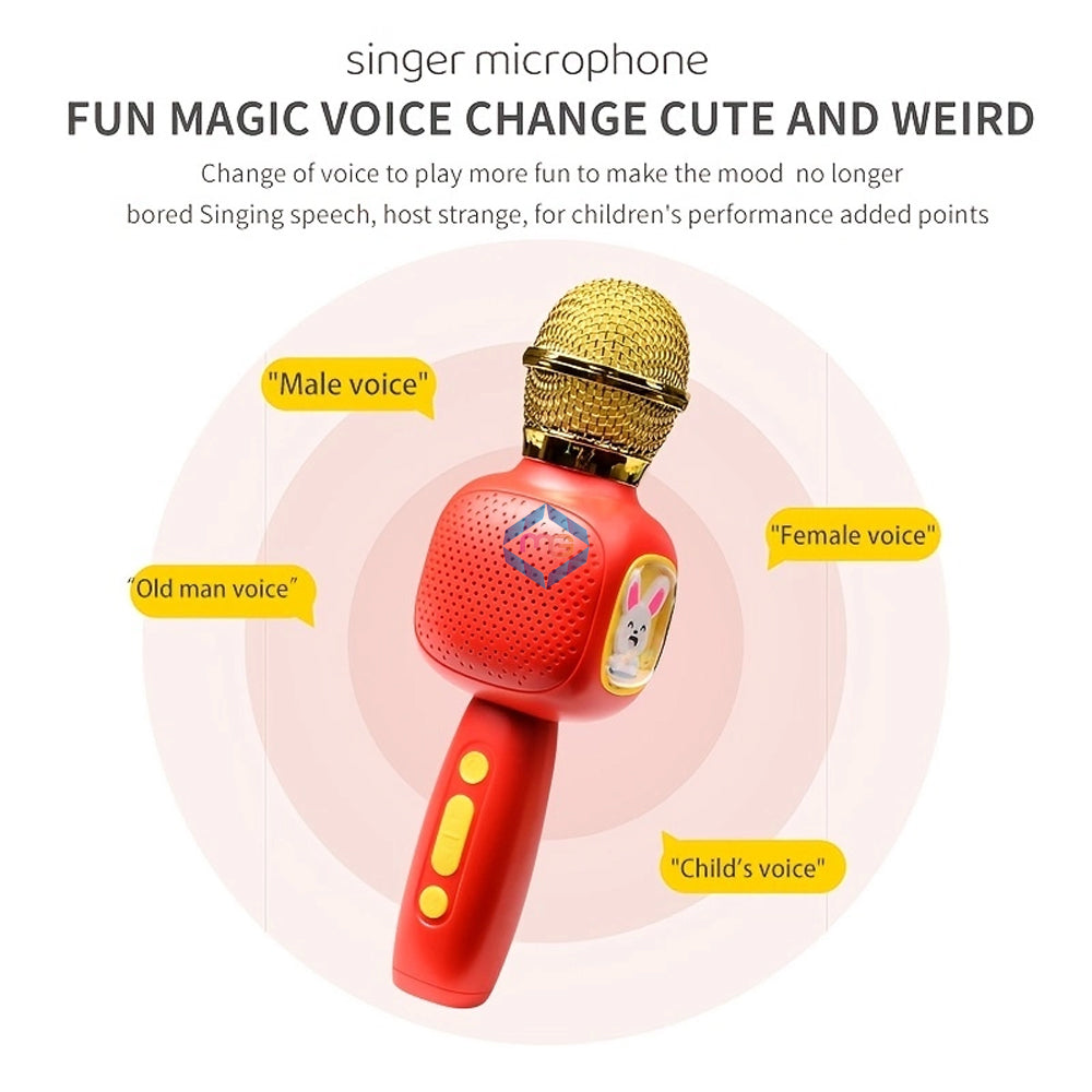 Karaoke Singer Microphone with Speaker - FDQ-01 - Madina Gift