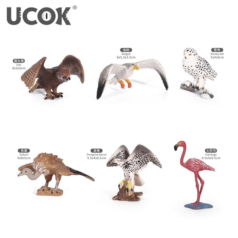Realistic Bird YX-PF056-1 Figurine Play Set For Models Online in Karachi Pakistan Madina Gift