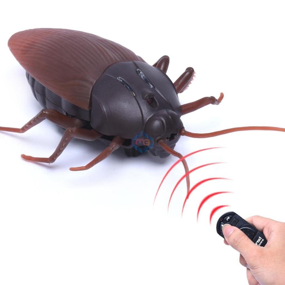 Remote Control Moving Cockroach - 9916 - Madina Gift