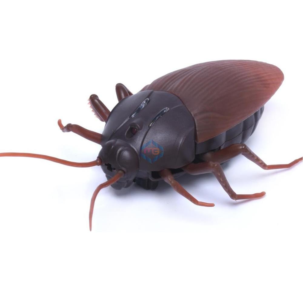 Remote Control Moving Cockroach - 9916 - Madina Gift