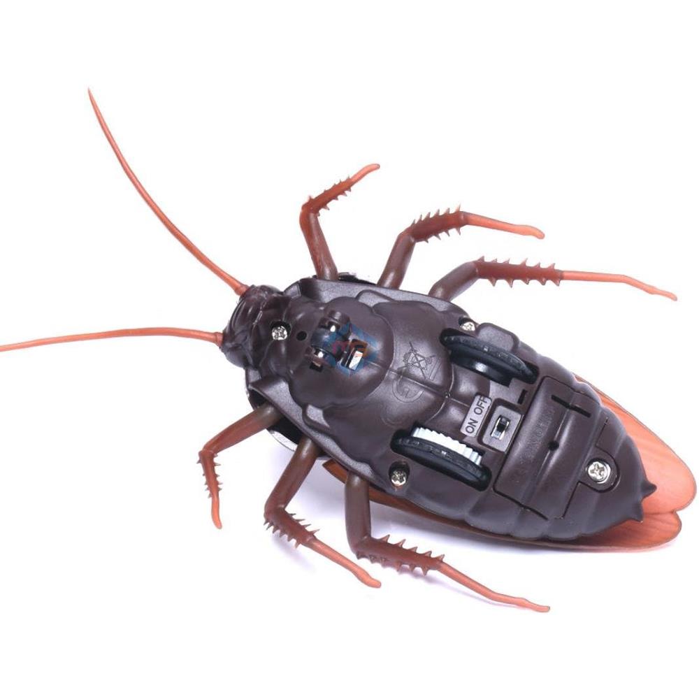 Remote Control Moving Cockroach - 9916 - Madina Gift