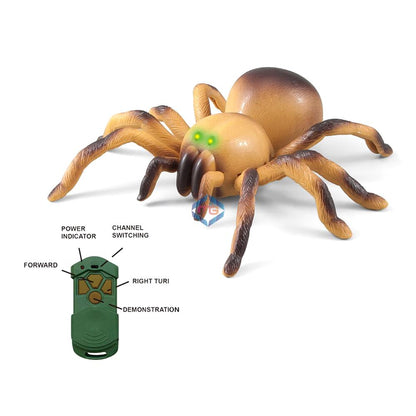 Remote Control Moving Spider - 8901 - Madina Gift