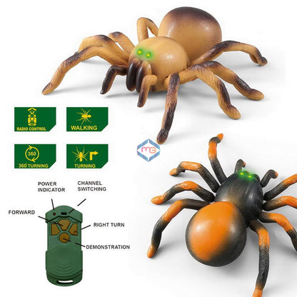 Remote Control Moving Spider - 8901 - Madina Gift