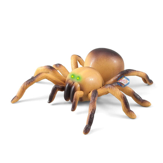 Remote Control Moving Spider - 8901 - Madina Gift